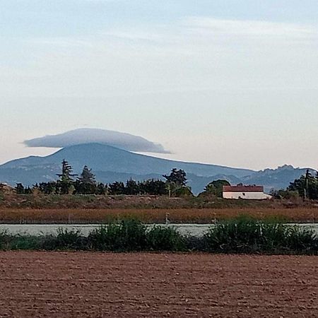 Chambre D'Hotes Les Garrigues Piolenc Exterior foto